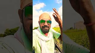 Kamariya se paatar balam Hamar short trending video🇨🇮🇨🇮❤️💯🙏🙏👆 [upl. by Garek]