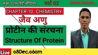 प्रोटीन की संरचना Structure Of Protein Class 12 Chemistry plsirchitrangi [upl. by Dene]