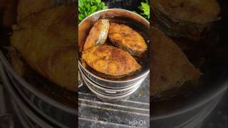 Todays lunch box  vanjaram fishfry fish kulambu dragon fruit ytshorts viralvideo trending [upl. by Nitsruk974]