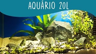 Como montar um aquário de 20l  Remontagem Aquapaisagismo [upl. by Lemrac]