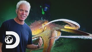 Jeremy May Have Found The Lusca Monster Of The Blue Holes  River Monsters [upl. by Felty]