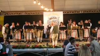 100 Jahre Spielmannszug Michelbach Danke an alle Vereine [upl. by Emilie107]