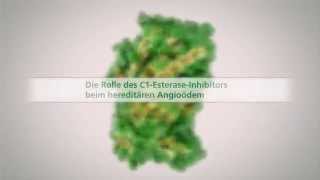 Wirkungsweise C1EsteraseInhibitor Für med Fachkreise [upl. by Eerolam89]