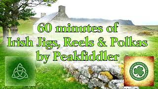 60 minutes Irish Jigs Reels amp Polkas [upl. by Nnyleimaj]