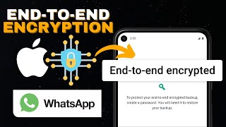 What Is quotWhatsApp Messages And Calls Are Endtoend Encryptedquot [upl. by Eigna]