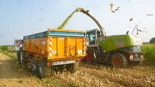 Ensilage De Maïs 2015 [upl. by Thaddaus]