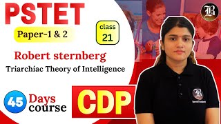 Triarchiac Theory of Intelligence Lec21 Robert sternberg CDP PSTET Paper1 amp 2 45 Days Course [upl. by Aicatsanna]