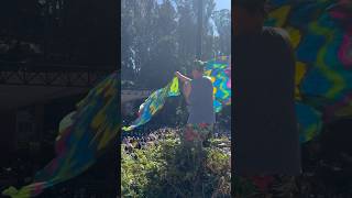 Flagging to Lucinda Williams Stern Grove San Francisco 8182024 [upl. by Fitton956]