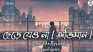 ছেড়ে যেও না অভিমান Tanveer Evanlofi songSlowedReverbROCK AND ROLL [upl. by Dhaf]