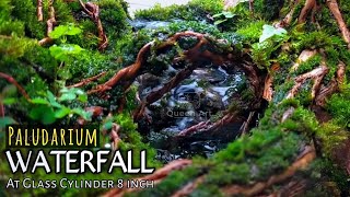 How To Make a Paludarium Waterfall in a glass cylinder [upl. by Jeremy]