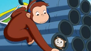 Jorge el Curioso en Español 🐵 La Cámara Hámster 🐵 Mono Jorge 🐵 Caricaturas para Niños [upl. by Lossa]