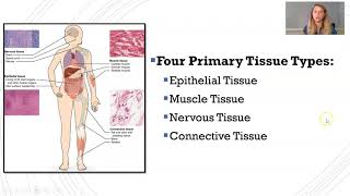 Introduction to Histology [upl. by Colner]