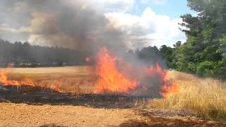 Burning Wheat fields [upl. by Eli]