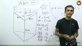 මුලික ගණිතය 06 2026 SFT Theory [upl. by Jelle]