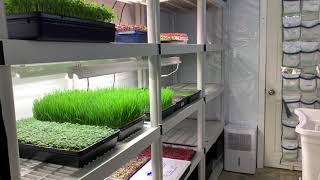 A Microgreens grow room Free Course Video 2 [upl. by Airda637]