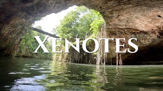 🇲🇽 멕시코 칸쿤 액티비티 고민 중이라면 세노테 투어✨🌴 세노테 Vlog XENOTES TOUR [upl. by Issiah554]