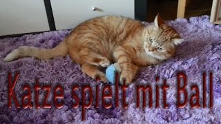 Katze Nala spielt mit Plüschball [upl. by Brendin]