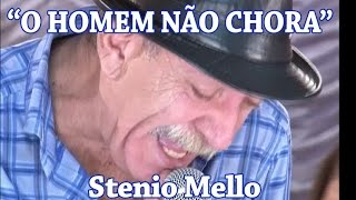 quotHOMEM NÃO CHORAquot com STÊNIO MELLO Cover [upl. by Ylehsa]