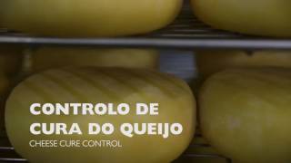 Azorean Handmade Cheese  quotQueijo Vaquinhaquot  Made in Azores [upl. by Akiehsal]