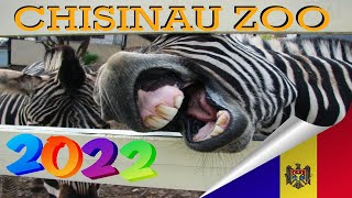 ZOO CHISINAU 2022 MOLDOVA [upl. by Rats598]