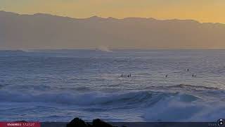 Nov 3 2024 Surfing at Waimea Bay at Sunset Hawaii [upl. by Erdreid]