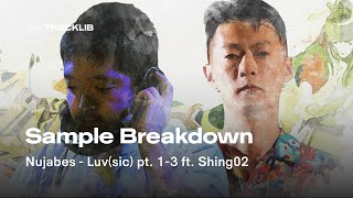 Sample Breakdown Nujabes ft Shing02  Luvsic pt 13 [upl. by Osber]