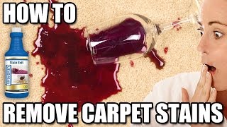 How to Remove Stains from Carpets  Chemspec Stain Exit [upl. by Wetzell458]