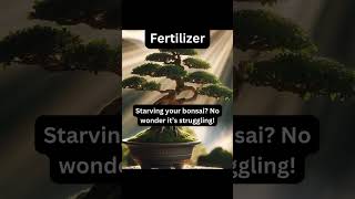 Bonsai Fertilizer Tip bonsai garden gardening how howto plants relaxing [upl. by Cook]