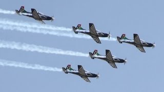 AAD2014 SAAF Silver Falcons South African Air Force [upl. by Niknar]