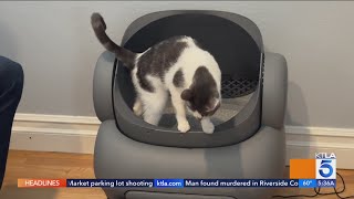 This 600 Robot Litter Box is Life Changing [upl. by Ida]