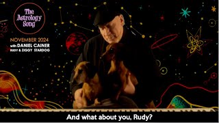 Daniel Cainer  Ziggy Stardog  Rudy Stardog  NOVEMBER 2024 Sausage Dog Astrology Song [upl. by Aihsilat886]