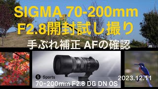 【SIGMA 70200mm F2８DG DN OS Sports】 開封・試し撮り 4K [upl. by Hannavahs]