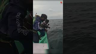 Catching King Fish in the Deep Sea fishing fishingvideo oceanfishing [upl. by Suirtemid249]