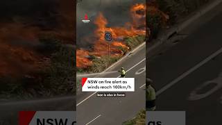 NSW on fire alert as winds reach 100kmh [upl. by Clari872]