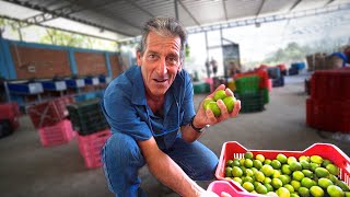 Fuimos a comprar limones y pagamos S500 por la bolsa ¡El Oro Verde [upl. by Harriott]