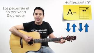 como tocar Villancico Los Peces Aprende a tocar en guitarra [upl. by Leiba]