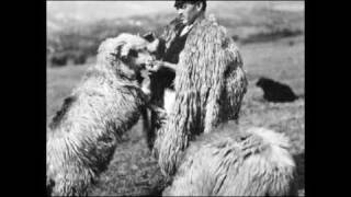 Sârbă ciobănească  Pastoral dance [upl. by Nalced]