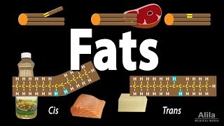 Unsaturated vs Saturated vs Trans Fats Animation [upl. by Ateikan]