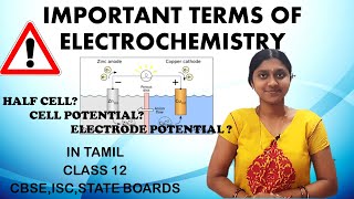 Important Terms In Electrochemistry  In Tamil  Class 12  Cell  Electrode Potential  EMF Of cell [upl. by Culbertson818]