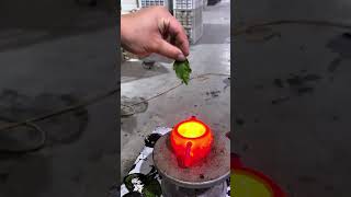 Color changing teapot add some color to your tea time teapots fypシ゚viral diy [upl. by Rock32]