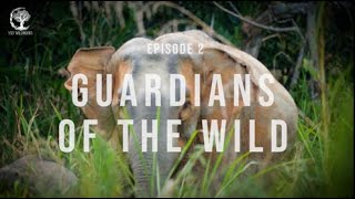 Episode 2 Guardians of the Wild [upl. by Aninad]