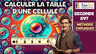 Calculer la taille dune cellule en 2 minutes  SECONDE  SVT  cellule taille svt [upl. by Arreis]