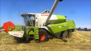 Claas Tucano 450 gerst dorsen  Loonwerken De Donder [upl. by Carper]