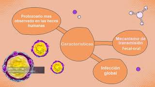 Tema de Isospora belli y Blastocystis hominis [upl. by Adnawat]