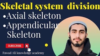 skeletal system divisionAxial and Appendicular skeleton [upl. by Emalee524]