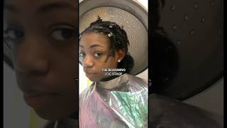 From Braids to loc’s   locstyles naturalhair locsjourney locs [upl. by Sadick]