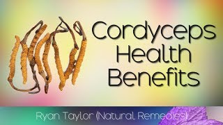 Cordyceps Benefits for Health [upl. by Ursas]