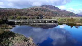 Bywyd Gwyllt Glaslyn Wildlife  Ffrwd Byw  Live Stream 2 [upl. by Shela92]