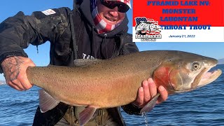 Pyramid Lake NV Monster Lahontan Cutthroat Trout [upl. by Nerro]