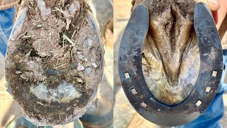 Restoring Horse Hooves with Sliders  Satisfying ASMR [upl. by Scibert]